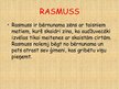 Presentations 'Astrida Lindgrēne "Rasmuss - klaidonis"', 3.