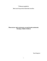 Research Papers 'Organizācijas ārējā komunikācija ar rakstītajiem materiāliem: skrejlapas, buklet', 1.