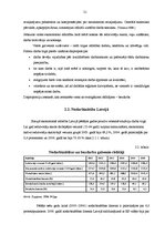 Term Papers 'Latvijas darba tirgus pirms un pēc pievienošanās Eiropas Savienībai', 17.