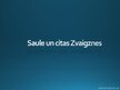 Presentations 'Saule un citas Zvaigznes', 1.