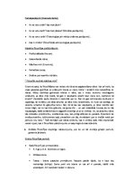 Summaries, Notes 'Filosofija', 3.