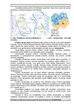 Research Papers 'Proteīnu uzbūve, īpašības, funkcijas un analīzes metodes', 5.