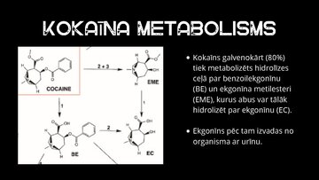 Presentations 'Kokaīns', 7.