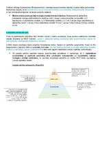 Summaries, Notes 'Praktiskais darbs: Saistošas normas apstrādes nozarē Latvijā', 2.