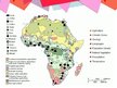 Presentations 'Aizsahāras („Melnās”)  Āfrikas reģions', 10.