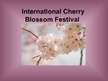 Presentations 'International Cherry Blossom Festival', 1.