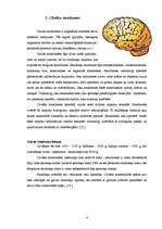 Research Papers 'Smadzeņu pusložu ietekme uz cilvēka spējām', 6.