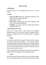 Summaries, Notes 'Līdera analīze', 1.