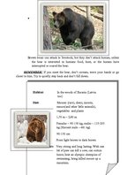Summaries, Notes 'Eurasian Brown Bear', 2.
