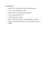 Essays 'Lietu tiesību jēdziens', 7.