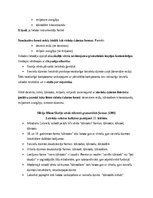 Summaries, Notes 'Morfoloģijas zinātnisko rakstu konspekts', 16.