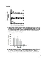 Research Papers 'D vitamīna loma kalcija vielmaiņā', 16.