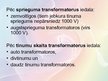 Presentations 'Transformatori', 10.