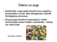 Presentations 'Augu bioloģija', 5.
