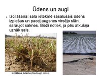Presentations 'Augu bioloģija', 6.
