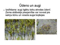 Presentations 'Augu bioloģija', 7.