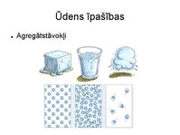 Presentations 'Augu bioloģija', 10.