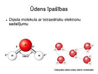 Presentations 'Augu bioloģija', 11.