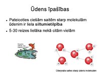 Presentations 'Augu bioloģija', 12.
