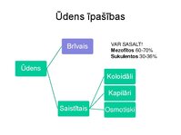 Presentations 'Augu bioloģija', 13.