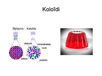 Presentations 'Augu bioloģija', 14.
