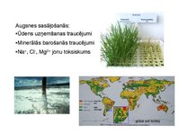 Presentations 'Augu bioloģija', 19.