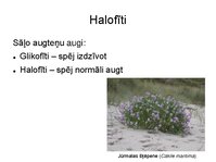 Presentations 'Augu bioloģija', 20.