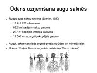 Presentations 'Augu bioloģija', 29.