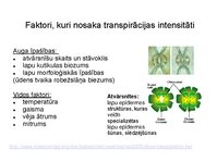 Presentations 'Augu bioloģija', 42.