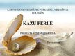 Presentations 'Kāzu pērle - uzņēmuma projekts', 1.