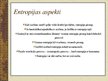 Presentations 'Entropija', 5.