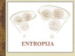 Presentations 'Entropija', 7.