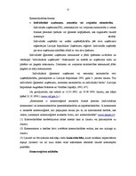 Term Papers 'IK "Svitenes aptieka" darbības analīze un attīstības iespējas', 11.