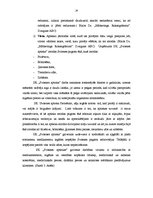 Term Papers 'IK "Svitenes aptieka" darbības analīze un attīstības iespējas', 24.