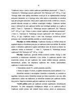 Term Papers 'IK "Svitenes aptieka" darbības analīze un attīstības iespējas', 28.