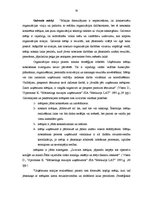 Term Papers 'IK "Svitenes aptieka" darbības analīze un attīstības iespējas', 30.