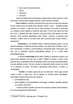 Term Papers 'Preču plūsmas optimizācijas modeļi mārketinga aspektā SIA "Rimi Latvia"', 13.