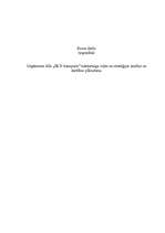 Research Papers 'Uzņēmuma SIA „DLV transports” mārketinga vides un stratēģijas analīze un darbība', 1.