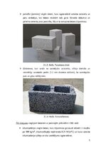 Research Papers 'Vieglbetoni un to veidi', 5.