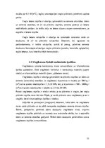 Research Papers 'Vieglbetoni un to veidi', 11.