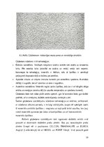 Research Papers 'Vieglbetoni un to veidi', 19.