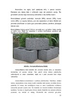 Research Papers 'Vieglbetoni un to veidi', 22.