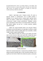 Research Papers 'Vieglbetoni un to veidi', 23.