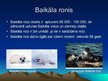 Presentations 'Baikāla ezers', 6.