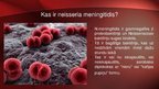 Presentations 'Neisseria meningitidis - meningokoki', 3.