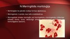 Presentations 'Neisseria meningitidis - meningokoki', 4.