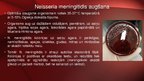 Presentations 'Neisseria meningitidis - meningokoki', 5.