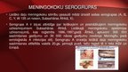 Presentations 'Neisseria meningitidis - meningokoki', 10.