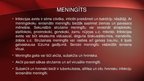 Presentations 'Neisseria meningitidis - meningokoki', 17.