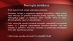 Presentations 'Neisseria meningitidis - meningokoki', 19.